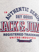 JACK&JONES JUNIOR 12258823WHITE MELANGE